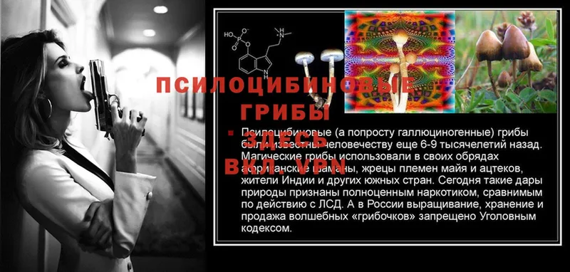 Псилоцибиновые грибы Magic Shrooms  гидра ссылки  Железногорск  цены  